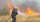 Les incendies ont causé la perte  de 53.000 hectares du patrimoine forestier