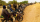 Le Mali plonge dans la violence